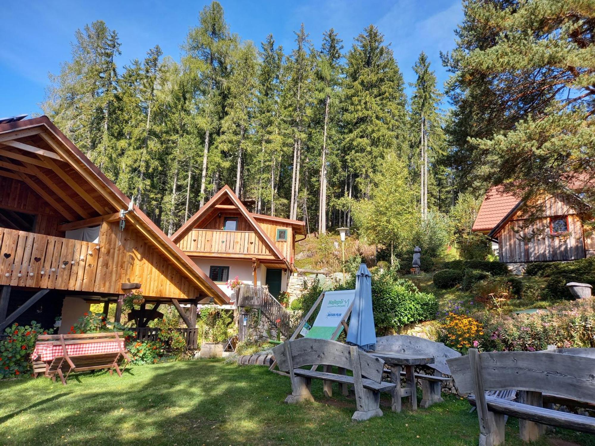 Guesthouse Planinski Dom Majerhold Солчава Екстер'єр фото
