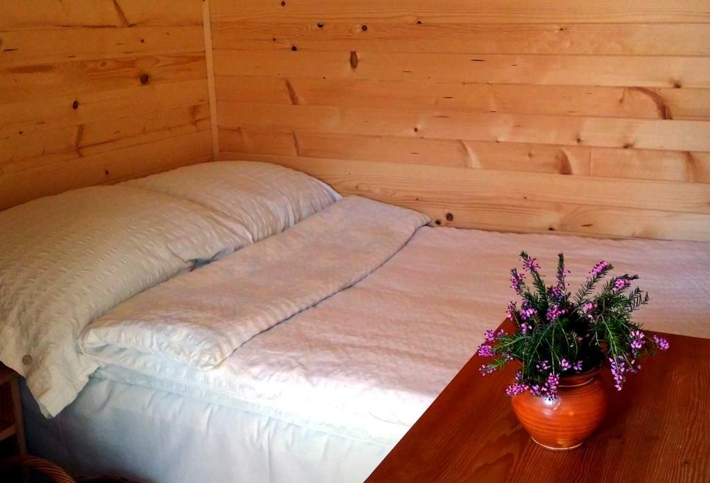 Guesthouse Planinski Dom Majerhold Солчава Екстер'єр фото