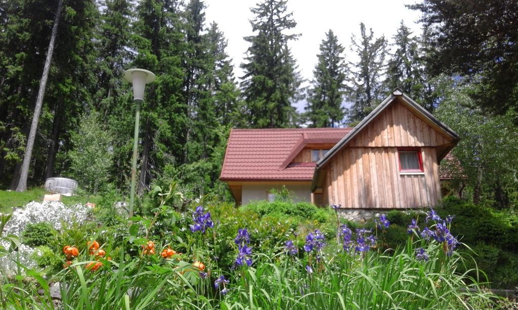 Guesthouse Planinski Dom Majerhold Солчава Екстер'єр фото