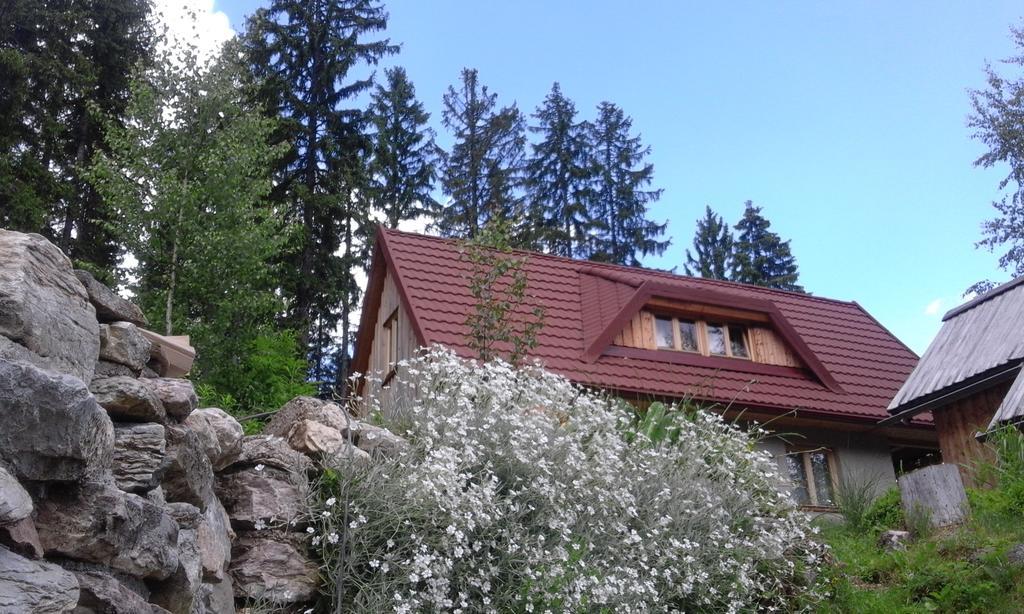 Guesthouse Planinski Dom Majerhold Солчава Екстер'єр фото