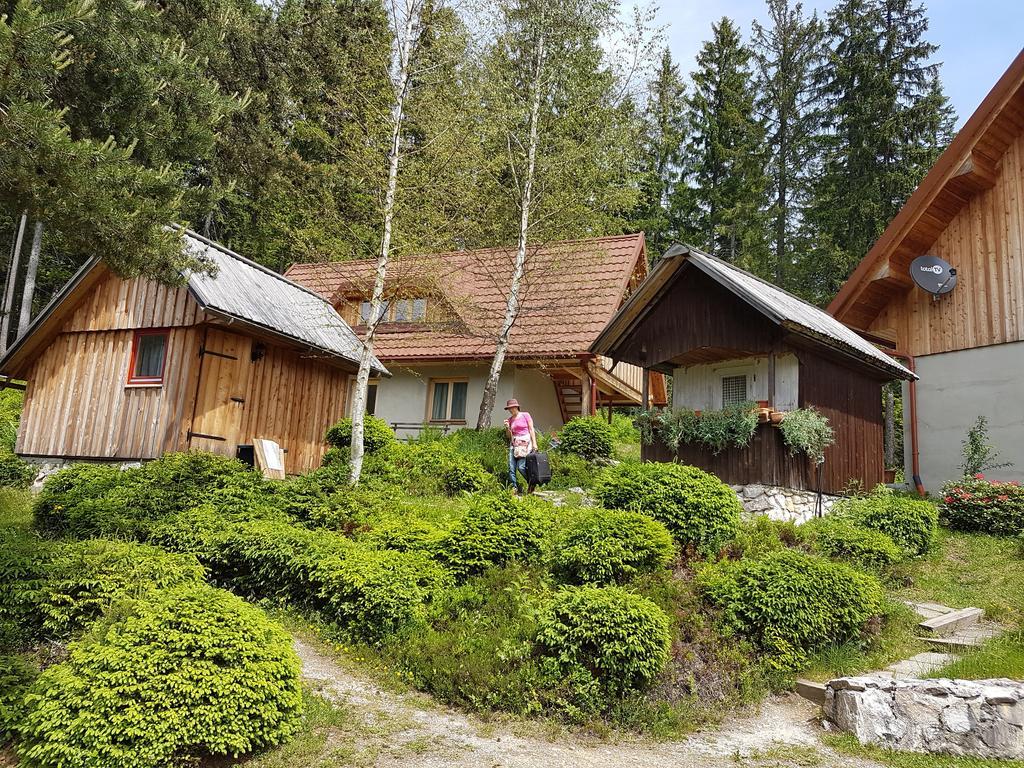 Guesthouse Planinski Dom Majerhold Солчава Екстер'єр фото