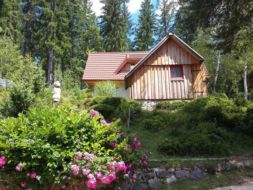 Guesthouse Planinski Dom Majerhold Солчава Екстер'єр фото