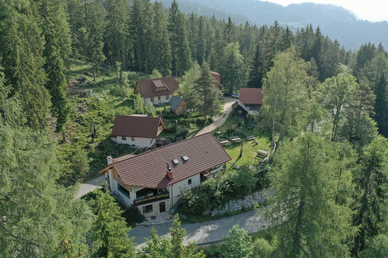 Guesthouse Planinski Dom Majerhold Солчава Екстер'єр фото