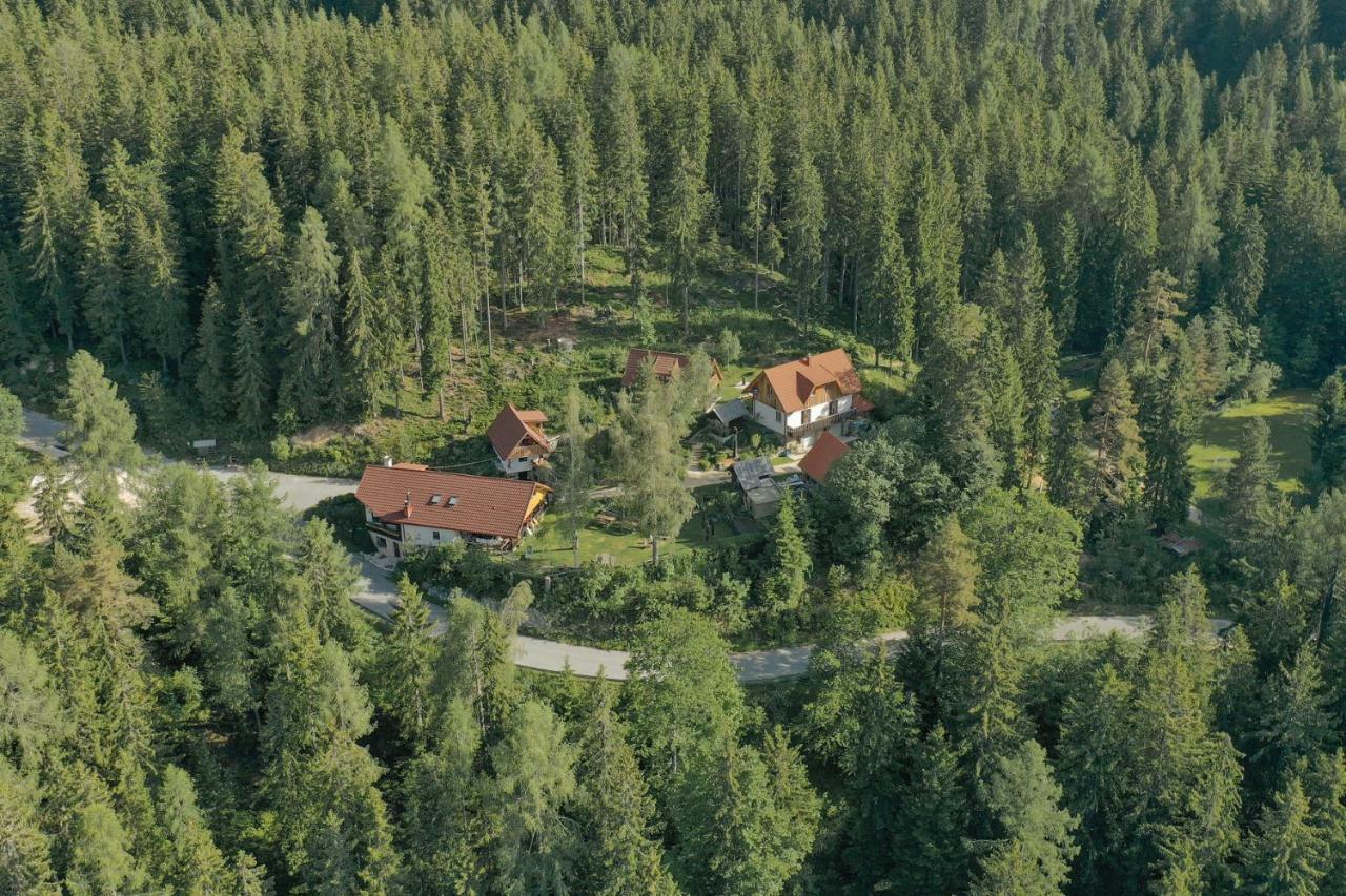 Guesthouse Planinski Dom Majerhold Солчава Екстер'єр фото